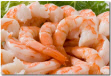Key West Pink Shrimp - fresh frozen and shipped overnight
